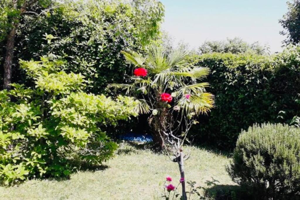 Cap Belle Etoile Appartement La Rochelle (Charente-Maritime)